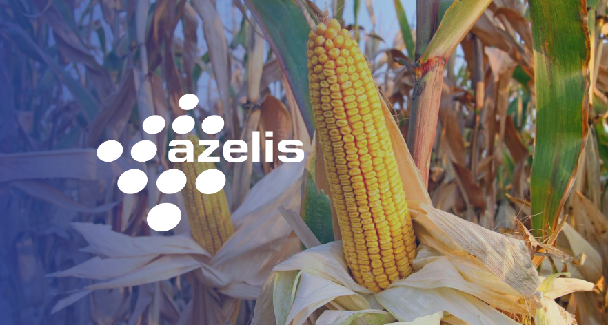 Azelis partner
